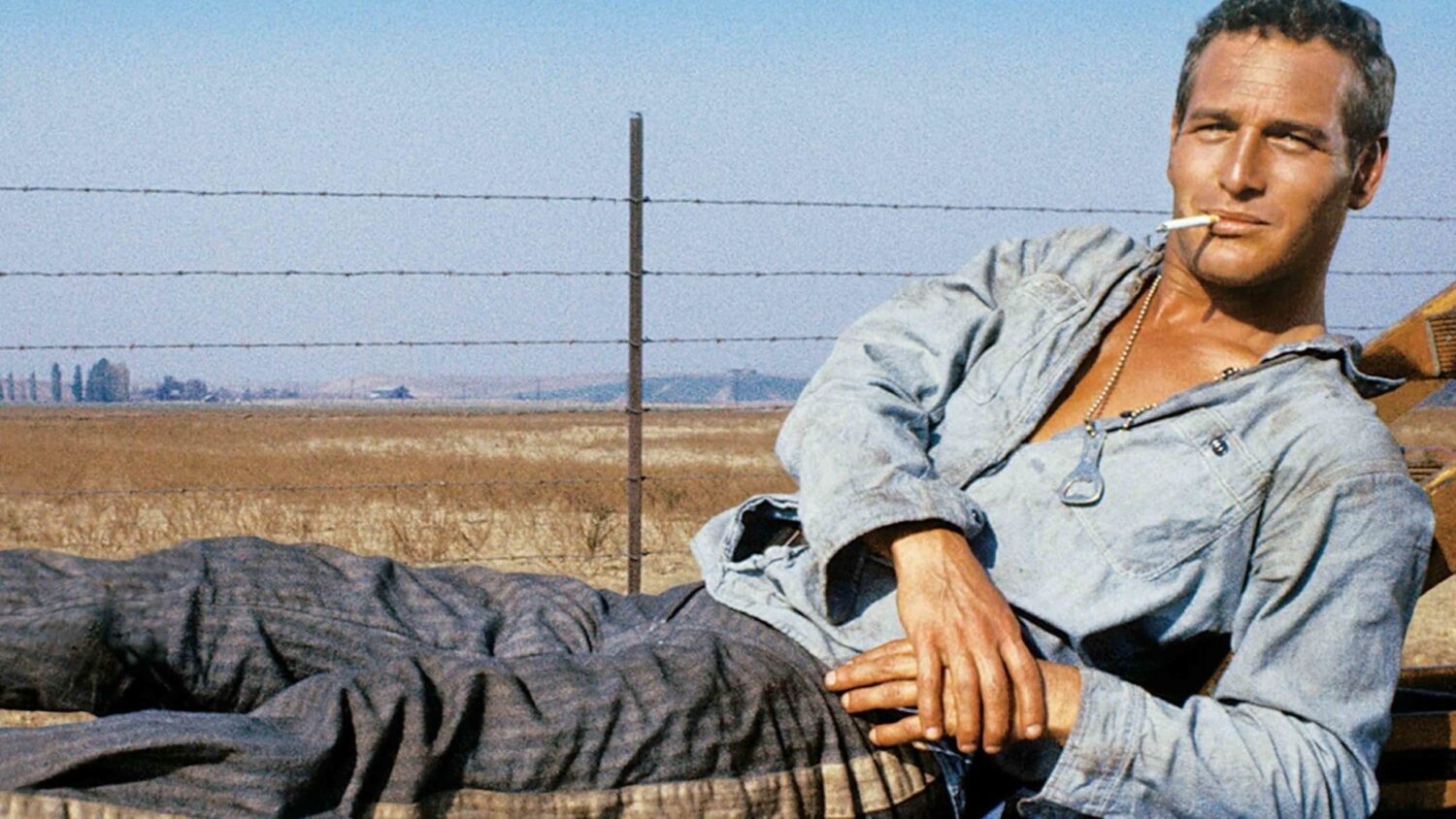 Cool hand Luke film
