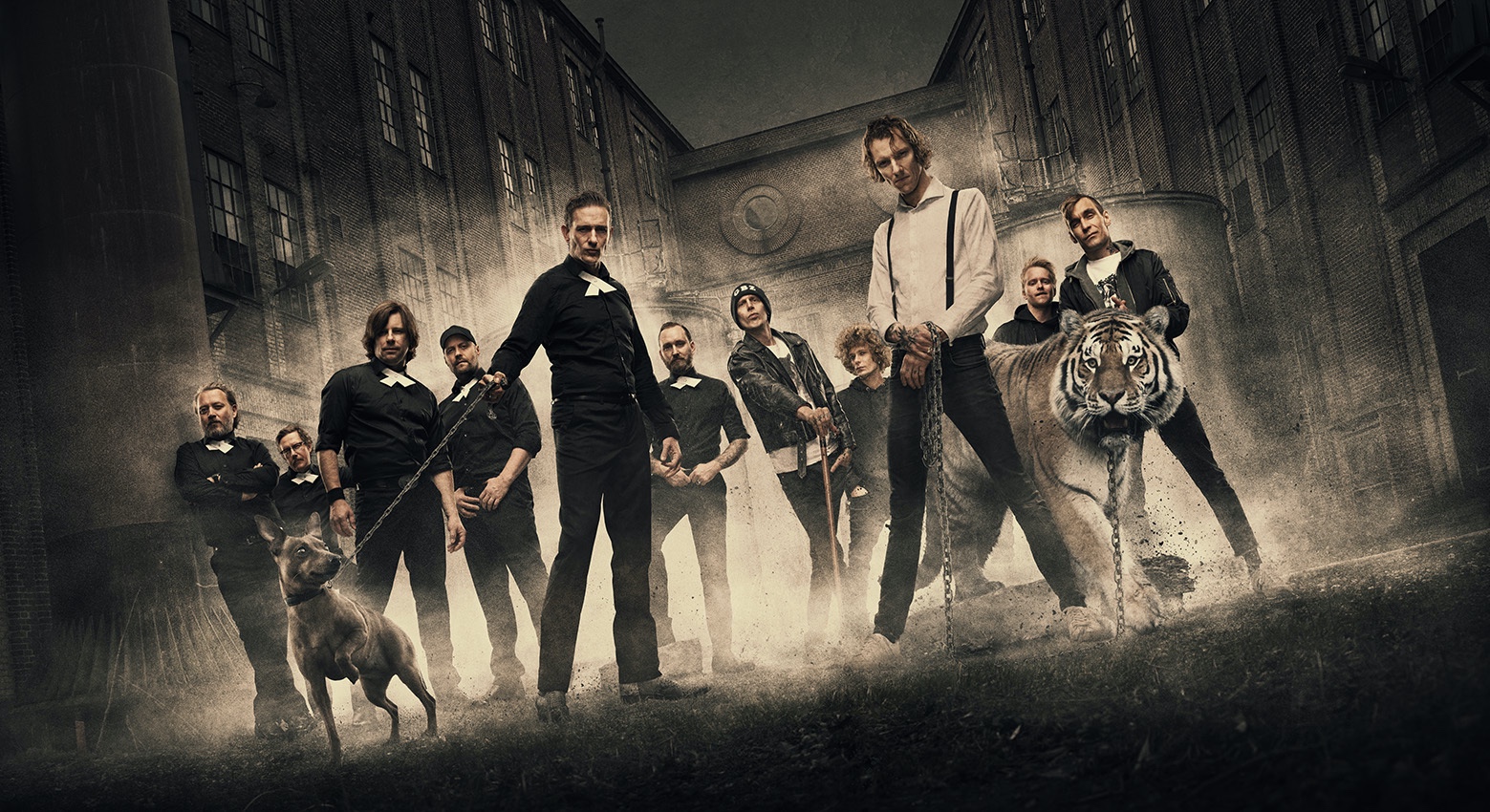 Bilde av bandene The Dogs og Oslo Ess