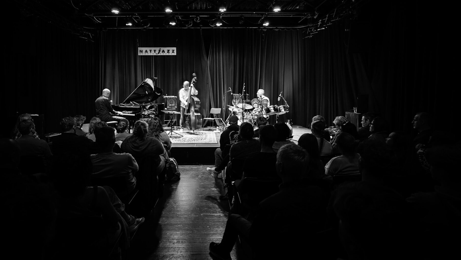 Bilde av konsert i Studio USF konsert sittende