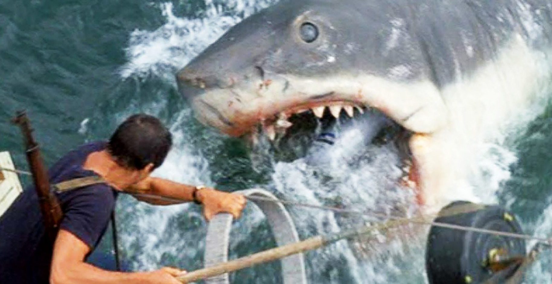 bilde fra filmen Haisommer