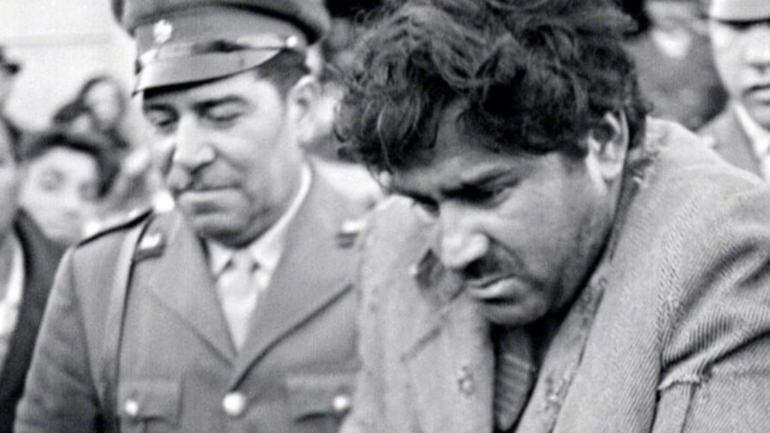 Jackal of Nauheltoro