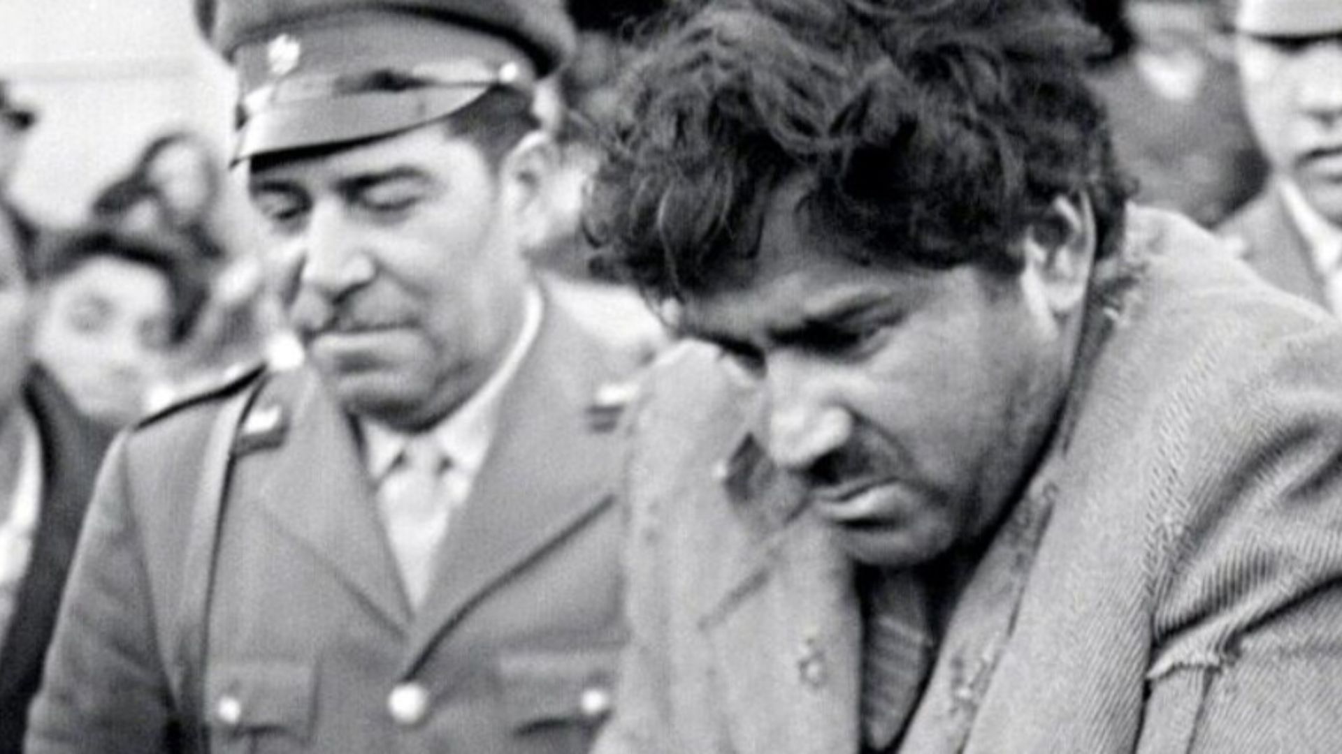 Jackal of Nauheltoro