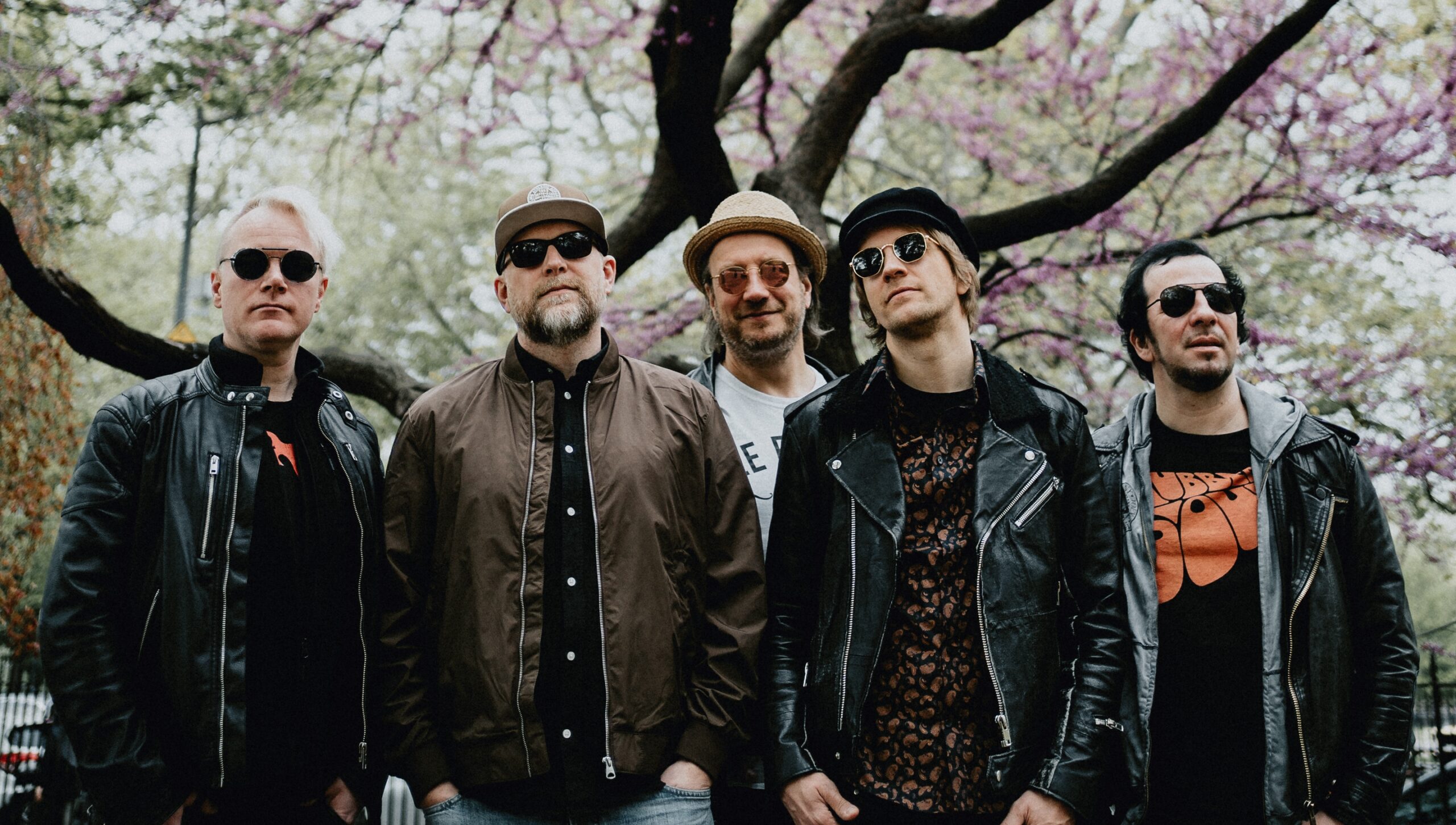 Bilde av Violet Road